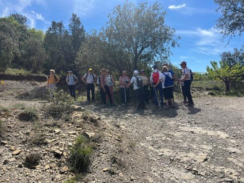 WhatsApp-Image-2026-04-17-at-21.44.12-2