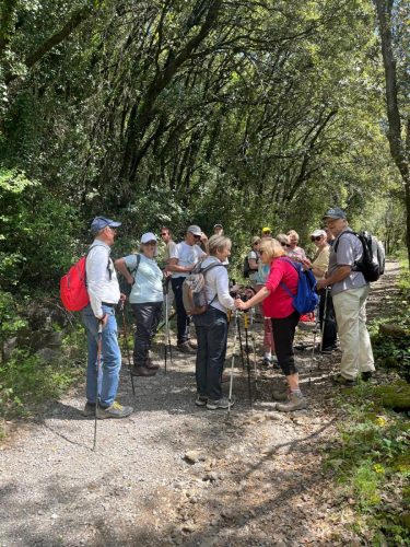 WhatsApp-Image-2026-04-17-at-21.44.12-5