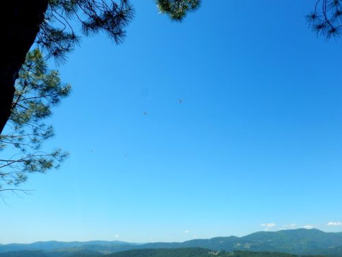 DSCN9724