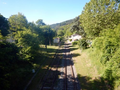 DSCN9752