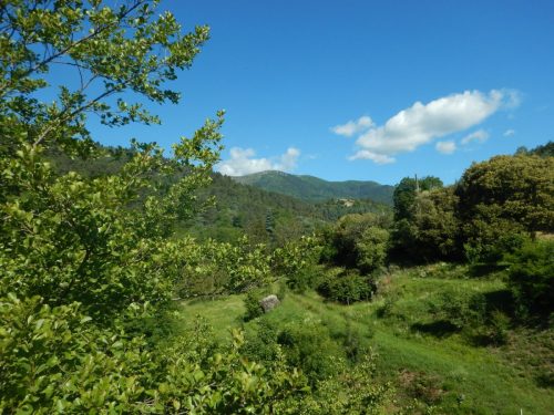 DSCN9757