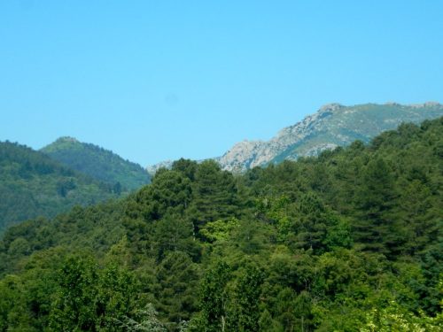 DSCN9768