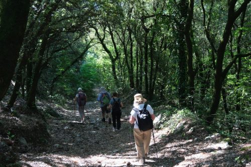 2026-05-29-Genolhac-Chamborigaud-24