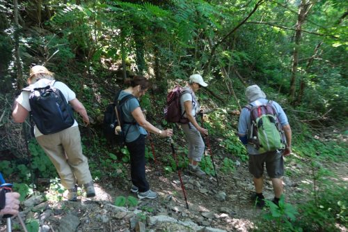 2026-05-29-Genolhac-Chamborigaud-27