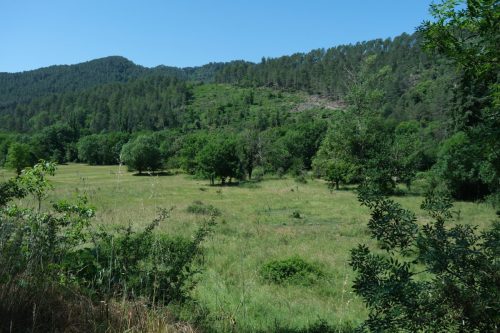 2026-05-29-Genolhac-Chamborigaud-34