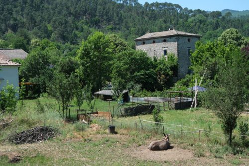 2026-05-29-Genolhac-Chamborigaud-50