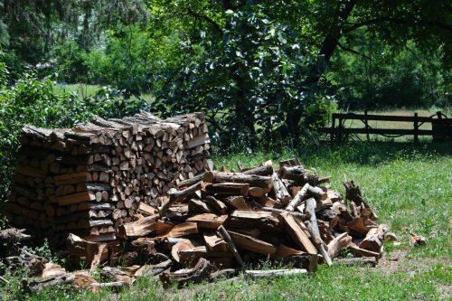 2026-05-29-Genolhac-Chamborigaud-61