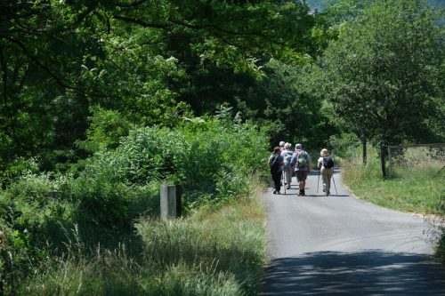 2026-05-29-Genolhac-Chamborigaud-69
