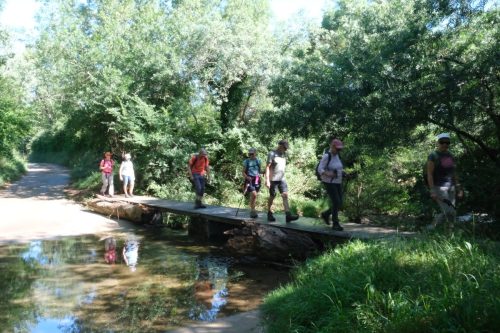 2026-06-05-Les-Fumades-VISA-2000-10