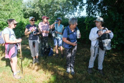 2026-06-05-Les-Fumades-VISA-2000-12