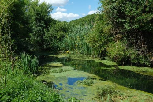 2026-06-05-Les-Fumades-VISA-2000-28