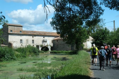 2026-06-05-Les-Fumades-VISA-2000-29