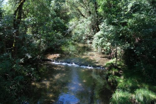 2026-06-05-Les-Fumades-VISA-2000-32
