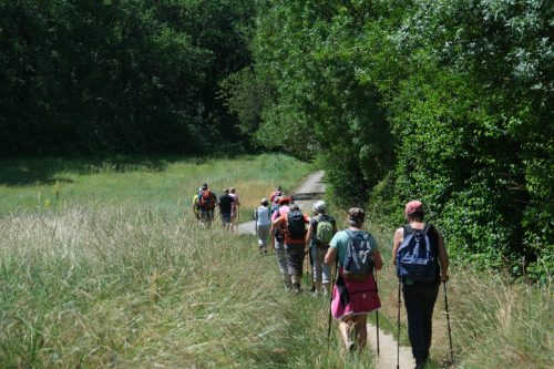 2026-06-05-Les-Fumades-VISA-2000-38