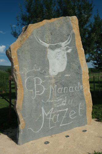2026-06-08-Manade-du-Mazet-001
