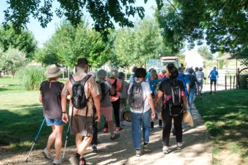 2026-06-08-Manade-du-Mazet-003