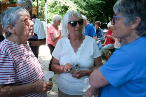 2026-06-08-Manade-du-Mazet-009
