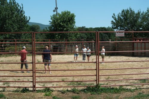 2026-06-08-Manade-du-Mazet-058