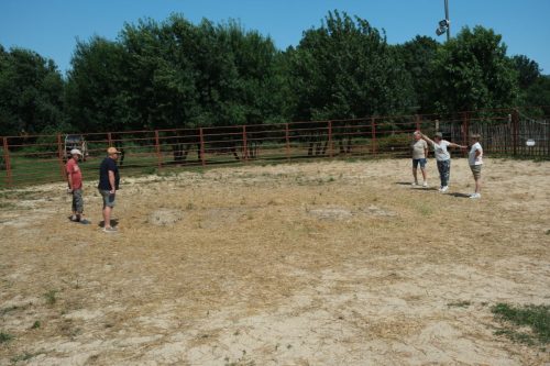 2026-06-08-Manade-du-Mazet-059