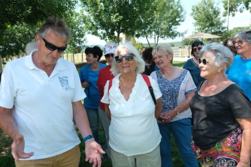 2026-06-08-Manade-du-Mazet-064