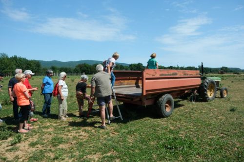 2026-06-08-Manade-du-Mazet-067