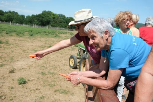 2026-06-08-Manade-du-Mazet-071