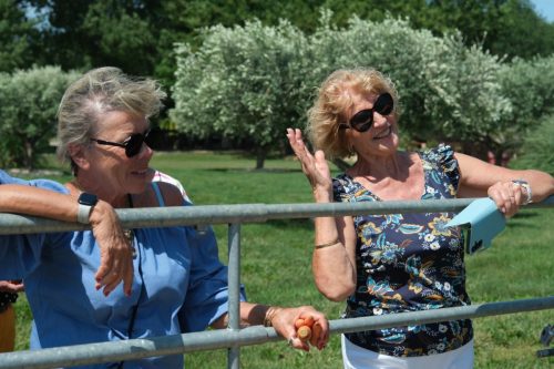 2026-06-08-Manade-du-Mazet-082