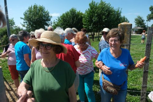 2026-06-08-Manade-du-Mazet-084