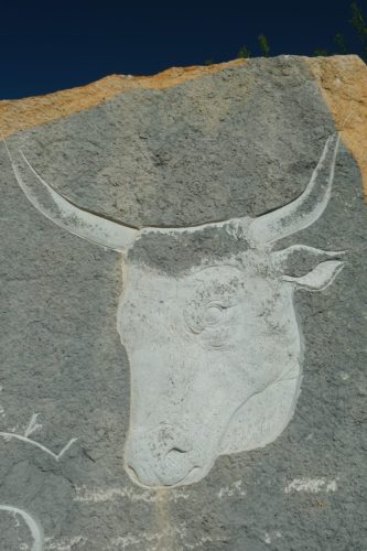 2026-06-08-Manade-du-Mazet-106