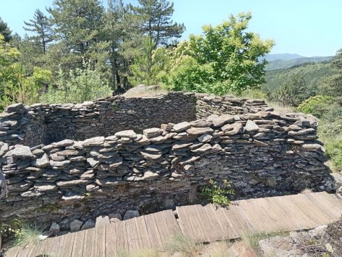 IMG-20260612-WA0001