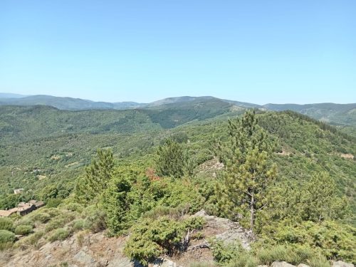 IMG-20260612-WA0016