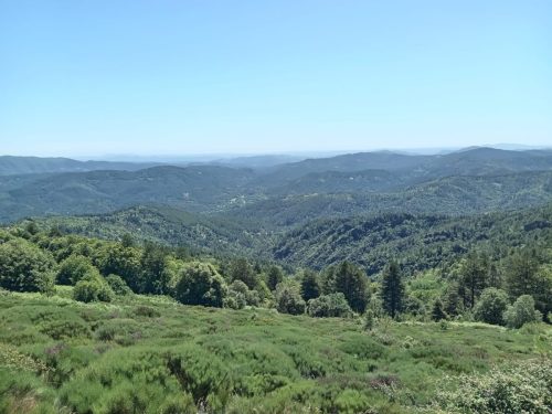 IMG-20260612-WA0019