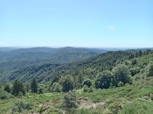 IMG-20260612-WA0023