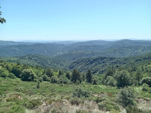 IMG-20260612-WA0024