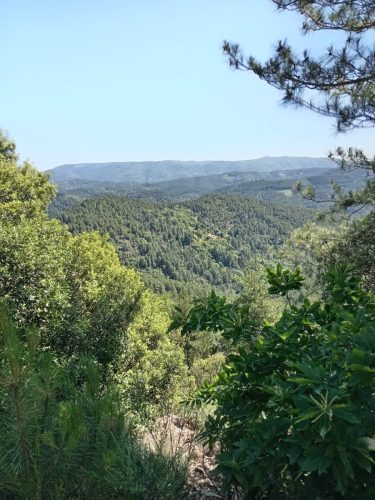 IMG-20260612-WA0029