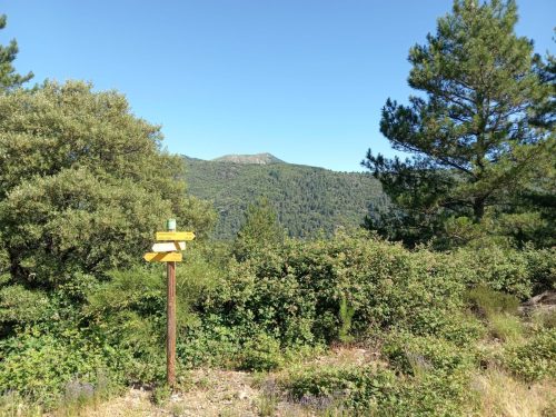 IMG-20260612-WA0032