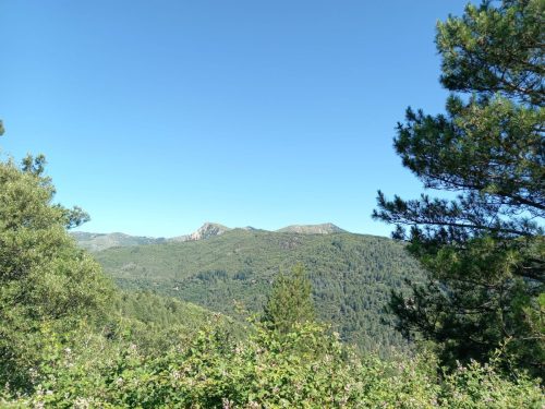 IMG-20260612-WA0033
