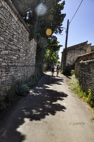 DSC0219