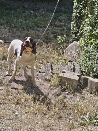 IMG-20260619-WA0035