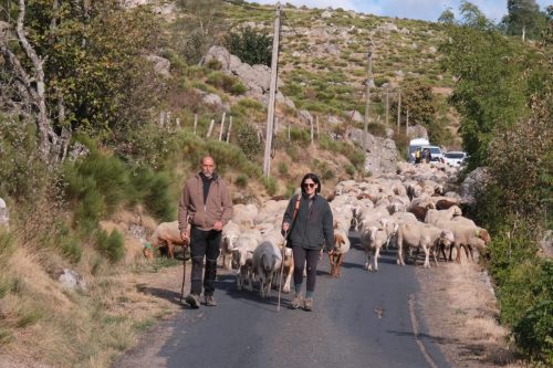2026-09-18-Pont-du-Tarn-VISA-2000-01