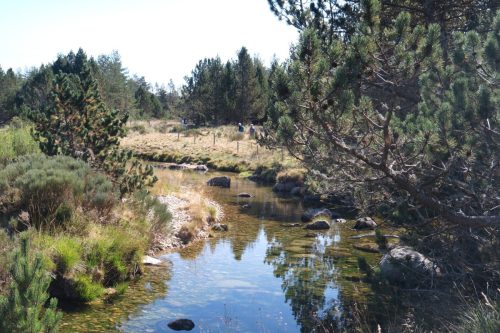 2026-09-18-Pont-du-Tarn-VISA-2000-33