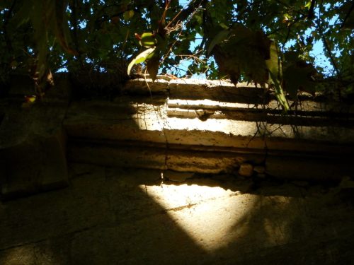 DSCN0258