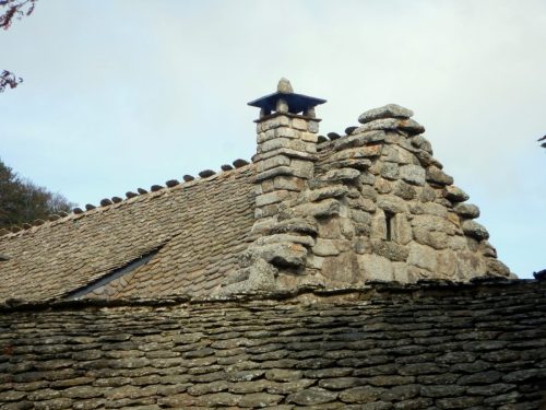 DSCN0365