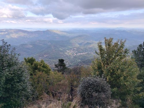 IMG 20261002 170950611