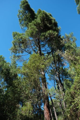 2026-10-09-Anduze-Tornac-VISA-2000-49