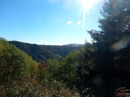 DSCN0384
