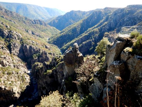 DSCN0405