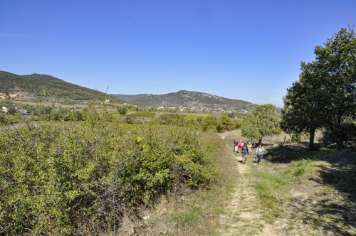 DSC0634