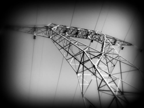 DSCN0481
